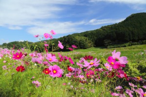 婚活には秘訣などありません